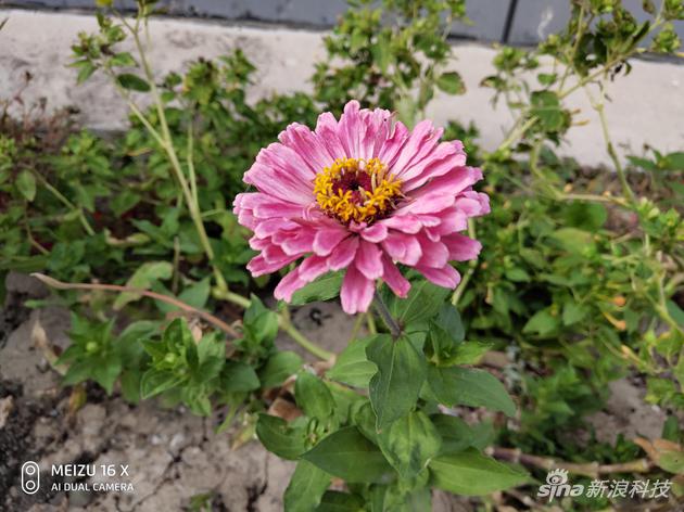 魅族16X评测:和旗舰相比 除了芯片它还差在哪