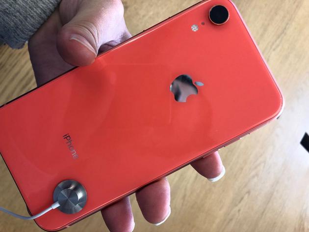 珊瑚红iPhone XR背面