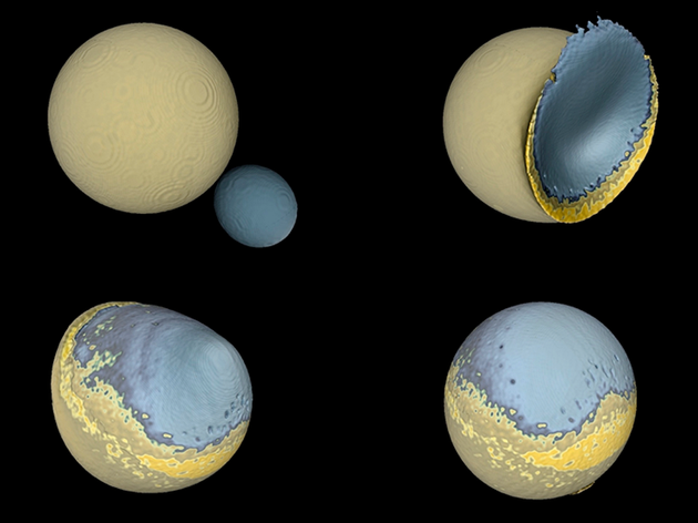 月球是如何形成的：模拟的原始月球和另一颗地球卫星之间的碰撞显示，碰撞后二者质量嵌合在一起，产生了不对称的半球。浅蓝色表示月球地壳、深蓝色为月球地幔，黄色为一层上地幔物质，代表了熔岩组成的“海洋”。另一颗卫星的大部分都以薄层堆积起来，形成了类似月球背面高地的山区。