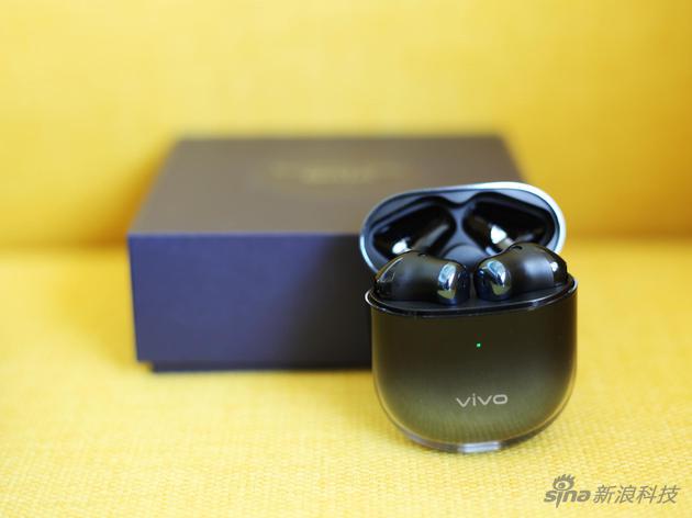 vivo Earphone