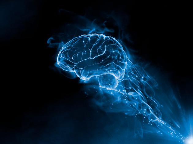 我们依靠大脑生存和学习，但这个器官对我们来说仍然像黑洞内部一样神秘