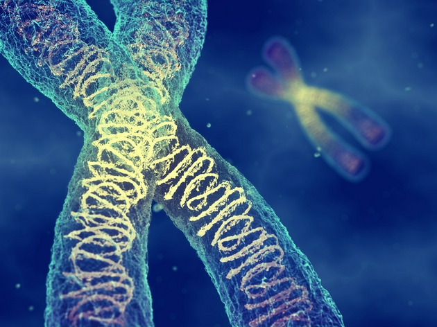 1、辐射暴露会使人体细胞DNA发生突变。