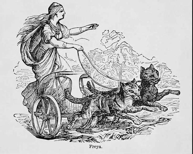 弗雷娅（Freya）女神站在由两只凶猛有力的猫拉着的战车里。路德维希·皮奇（Ludwig Pietsch），1865年，木刻版画。图源：Getty Images