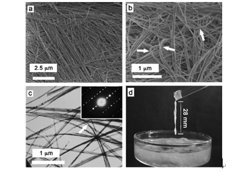 所制备的羟基磷灰石超长纳米线的扫描电子显微图片(a, b)和透射电子显微图片(c)，纳米线可自然弯曲，表明具有良好的柔韧性; (d) 羟基磷灰石超长纳米线浆料可以形成很长的纤维(约28 毫米)，是制造新型无机耐火纸的理想原料
