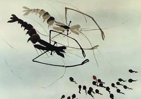 (这部动画你应该看过)