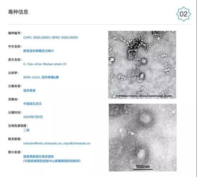 电镜下新型冠状病毒的结构特征