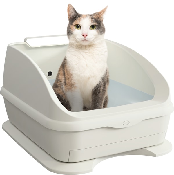 正在使用Toletta的猫咪