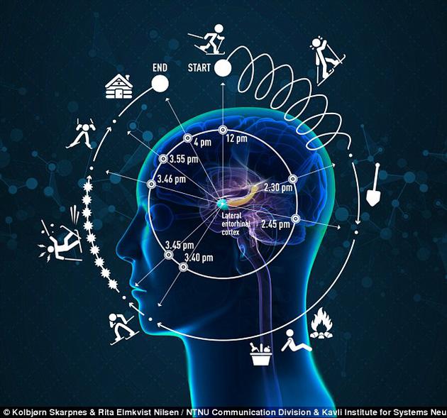 图中展示了4小时滑雪之旅经历的人脑记忆，从一个陡峭山峰，经历长达4小时的滑雪之旅，图中包括了滑雪者对时间的感知变化。该观点是有经历的时间依赖于事件过程，并且可能被认为比时钟时间更快或更慢。最新发现有经历的神经记录位于大脑内嗅皮层外侧（LEC）。在LEC旁边是大脑内嗅皮层内侧（MEC)，大脑的空间位置（图没有描绘）。在大脑内嗅皮层内侧旁边是海马体，这个结构中来自时间和空间网络的信息聚集在一起形成了情景记忆