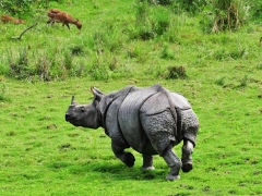 图片报：莱默尔和拜仁已就续约开始对话，甚至可能今年内就签字