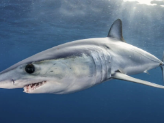 赫伊森：维尼修斯已道歉媒体将事情夸大了 我认为我出球能力不错