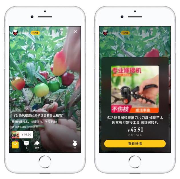 淘宝推出独立短视频应用 可以跳去淘宝买买买