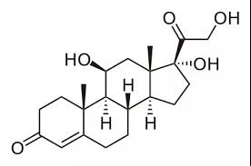 ▲ 皮质醇分子