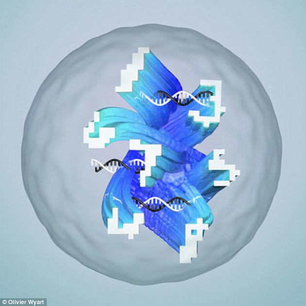 科学家在试管中创建由DNA构成的人工神经网络
