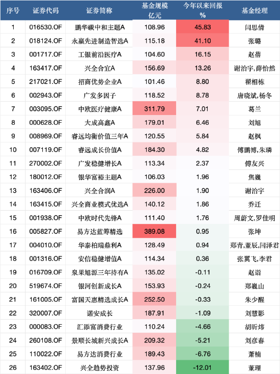 百亿规模以上主动权益类基金一览 数据来源:Wind 截止至20250618