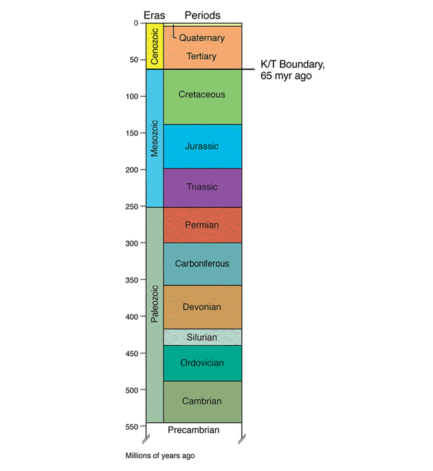 地质学家将地球的历史组织成时代和时期。KT边界正好位于白垩纪和第三纪之间，大约在6500万年前。
