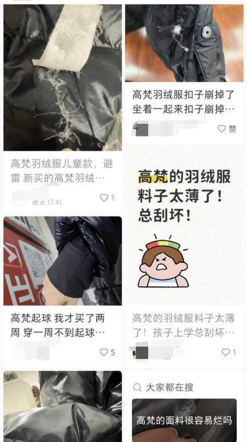 抖音官方店铺仅卖出1件？ 羽绒服高梵困于高端化，创始人明确“2025再提价”遭客服打脸？｜BUG