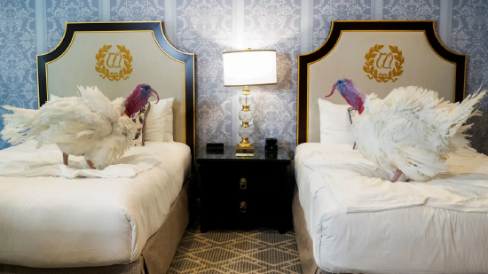 特朗普特赦感恩节火鸡,抨击拜登并称乌克兰和平协议“已近在咫尺”