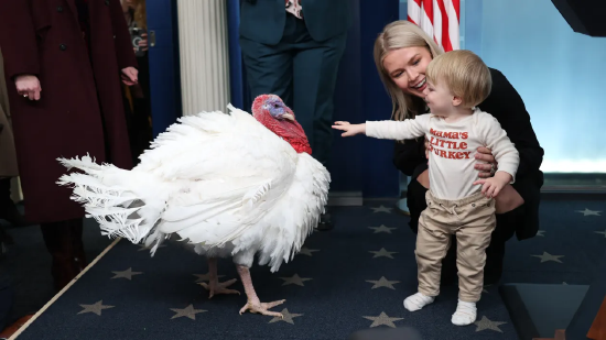 特朗普特赦感恩节火鸡,抨击拜登并称乌克兰和平协议“已近在咫尺”