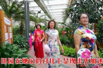 中年大妈们用什么短视频App？