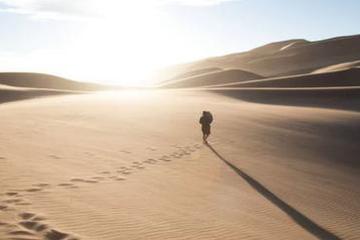 巨头集体重回创业期