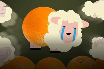 一夜撸700万，羊毛党不光薅羊毛，还吃羊肉吸羊血