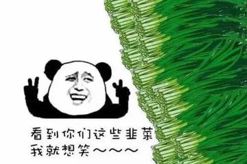 被割韭菜的美股股民：“别买奇怪的中国公司股票！”