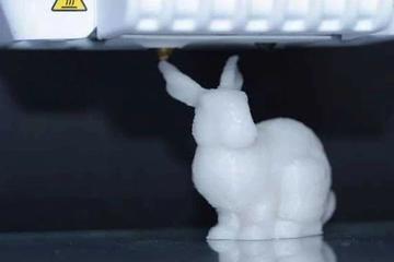 一只塑料兔竟有DNA，身体每处都能“克隆” 本兔