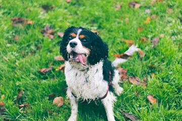 如何击中用户爽点？