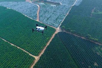 无人机“风袭”黄冈