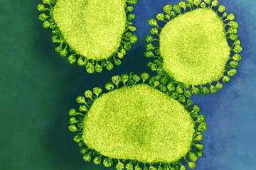 《柳叶刀》疫情最新文章