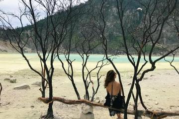 第一代互联网远程上班的人