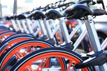 共享单车成哈啰青桔等