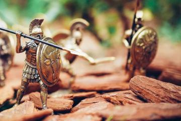 滴滴美团狭路相逢 买菜路上团长快不够用了