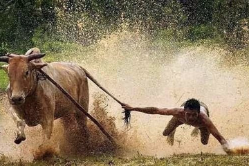 2020，韭菜的钱都被谁收割了？