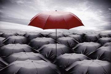 拼多多愚民、游族冷血、特斯拉随性 不堪一击的大厂危机公关