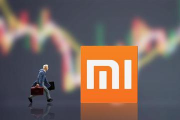 小米正在活成格力的样子
