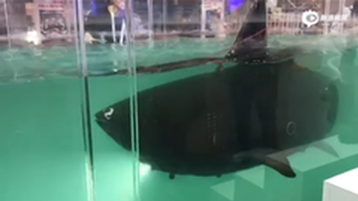 海洋装备机器人