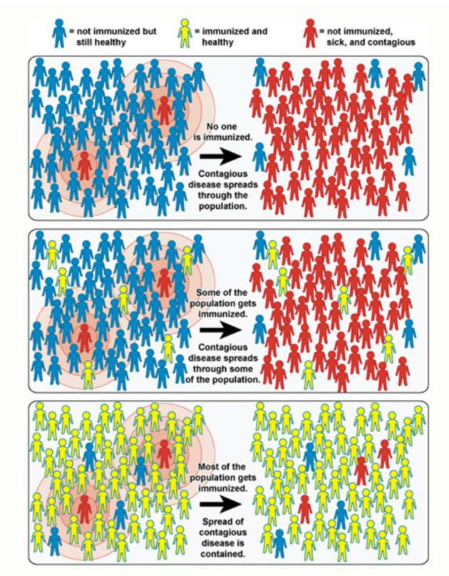 科学大家| 是否该接种HPV疫苗:辩证法分析免疫系统