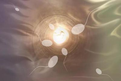 利用网络赚钱的人故事_日本科学家发明鉴定精子"性别"方法,或改变生育法则
