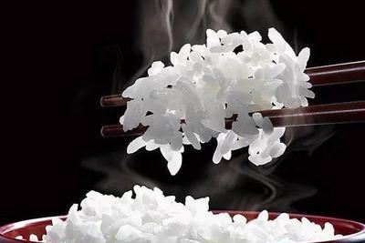 罗永浩和董明珠力捧的低糖电饭煲靠谱么?
