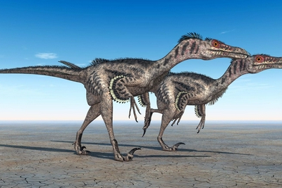 为啥6600万年前小行星碰撞地球时鳄鱼祖先能幸存？