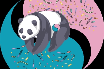大熊猫告诉你：吃素为啥也能胖？