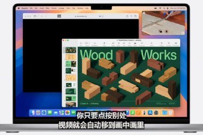 苹果更新macOS：野生动物园浏览器支持视频画中画功能