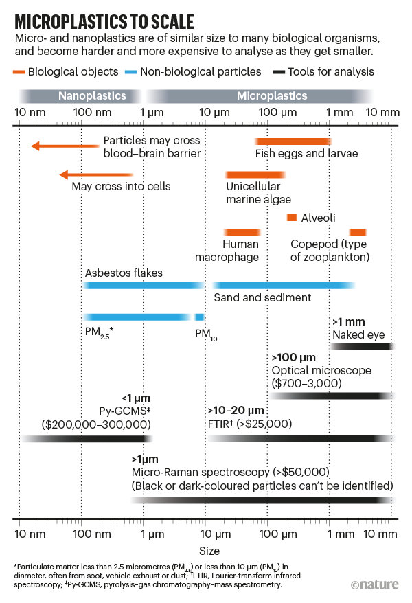 纳米塑料非常小，很容易被海洋生物吞食，这些海洋生物会将它们误认为食物