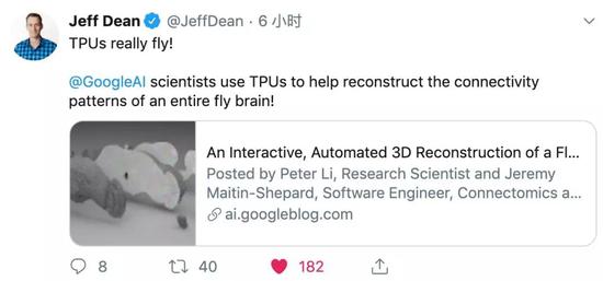 TPU真的会飞！GoogleAI的科学家使用TPU来帮助重建了整个果蝇大脑的神经连接！