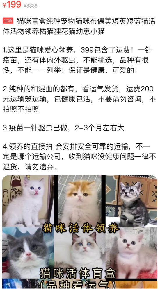 来源/ 闲鱼