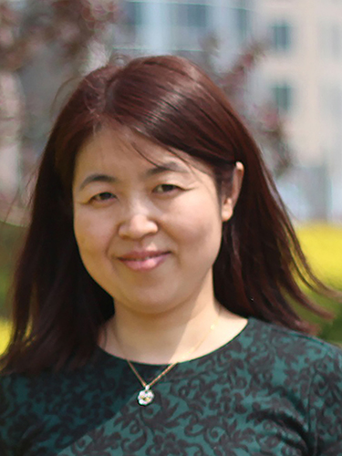 人口异质性强_人口普查(3)