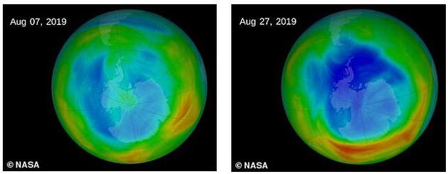 2019年8月臭氧消耗（蓝色）的情况。从8月7日（左）到8月27日（右），臭氧消耗在加剧