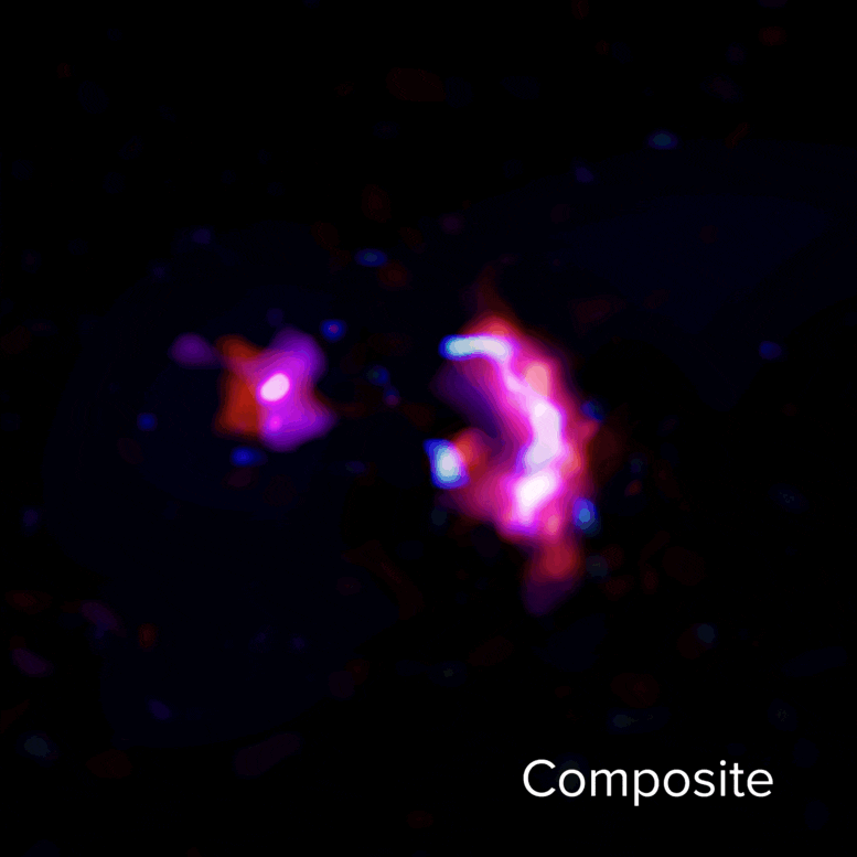 这张动图显示了早期大质量星系SPT0311-58中尘埃连续体以及水和一氧化碳的分子线移动情况。动图开始是尘埃连续体与水和一氧化碳分子线的组合；之后是红色的尘埃连续体和蓝色的水分子线；一氧化碳的分子线包括粉色和深蓝色的CO（10-9）、品红色的CO（7-6）和紫色的CO（6-5）