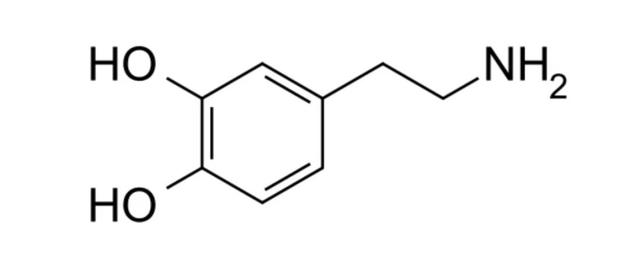 ▲ 多巴胺分子
